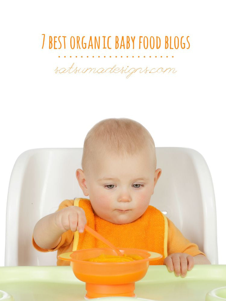 7 Best Organic Baby Food Blogs