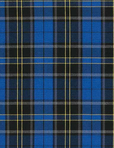 Plaid Bow Tie