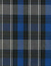 5 foot plaid dog leash with hook for potty bags
