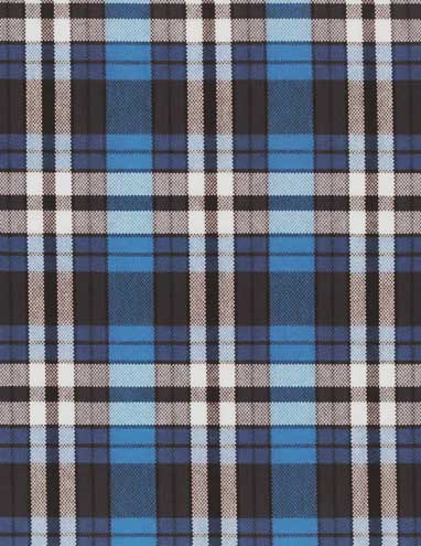 5 foot plaid dog leash with hook for potty bags