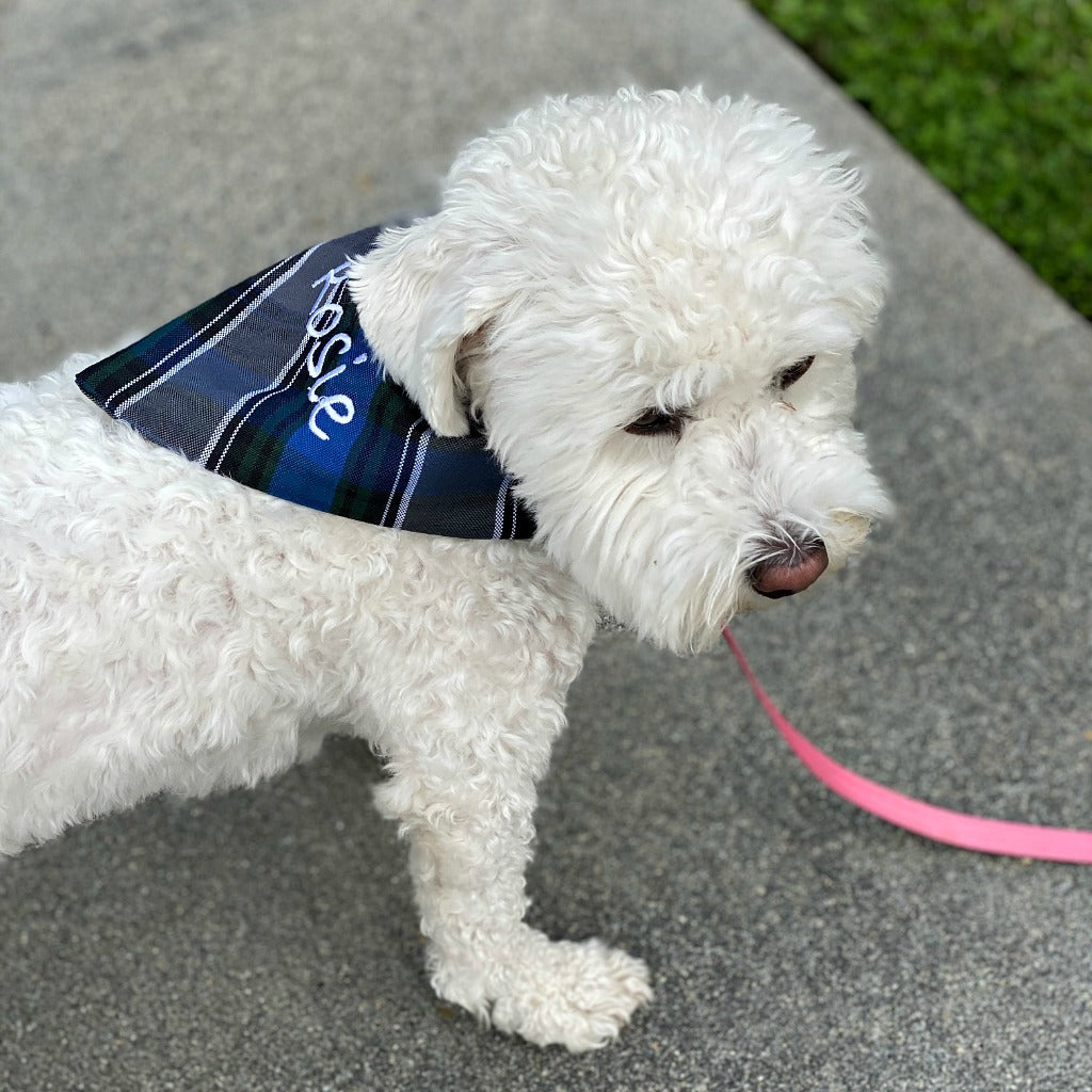 Embroidered pet bandana in three sizes