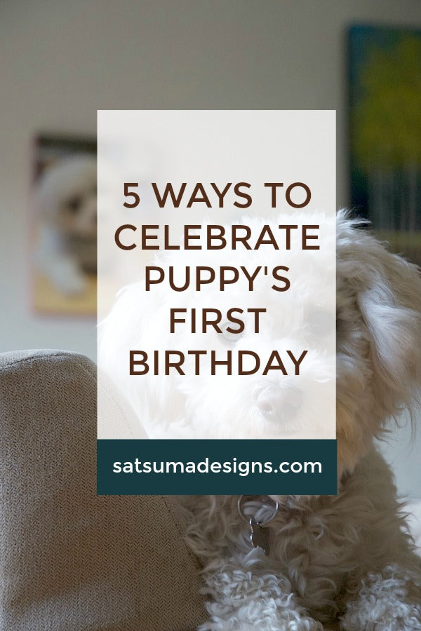 5 Ways to Celebrate a Puppy's First Birthday | Photo Canvas Giveaway