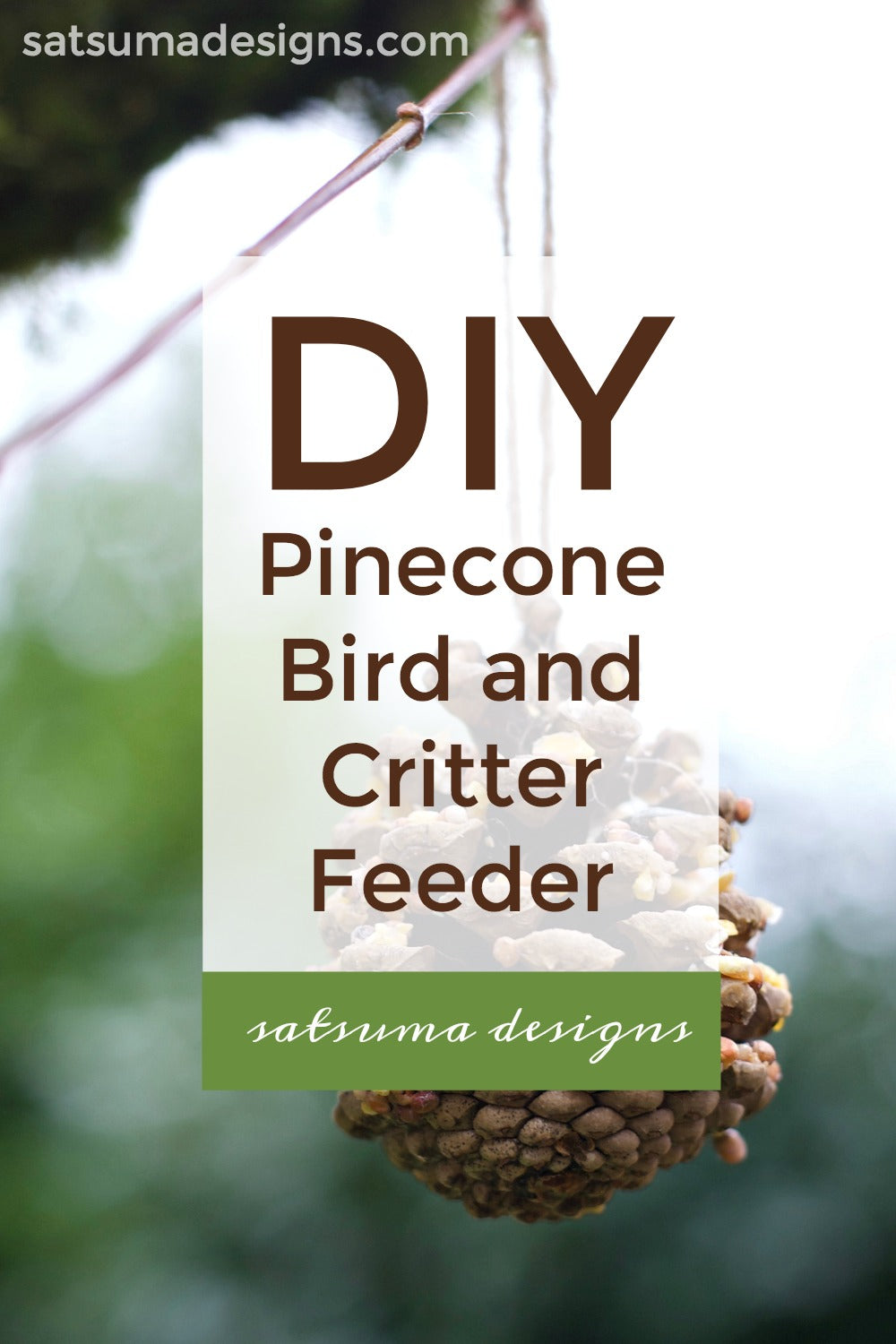 DIY Pinecone Bird and Critter Feeder