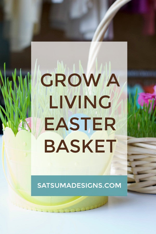 Grow Your Own Easter Basket Wheat Grass
