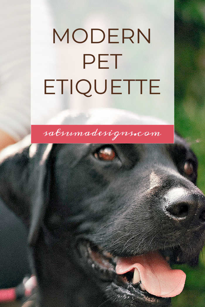 Modern Pet Etiquette | Best Practices for Dog Owners
