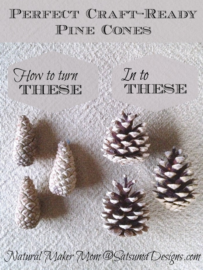 Free Craft Pine Cones in One Step