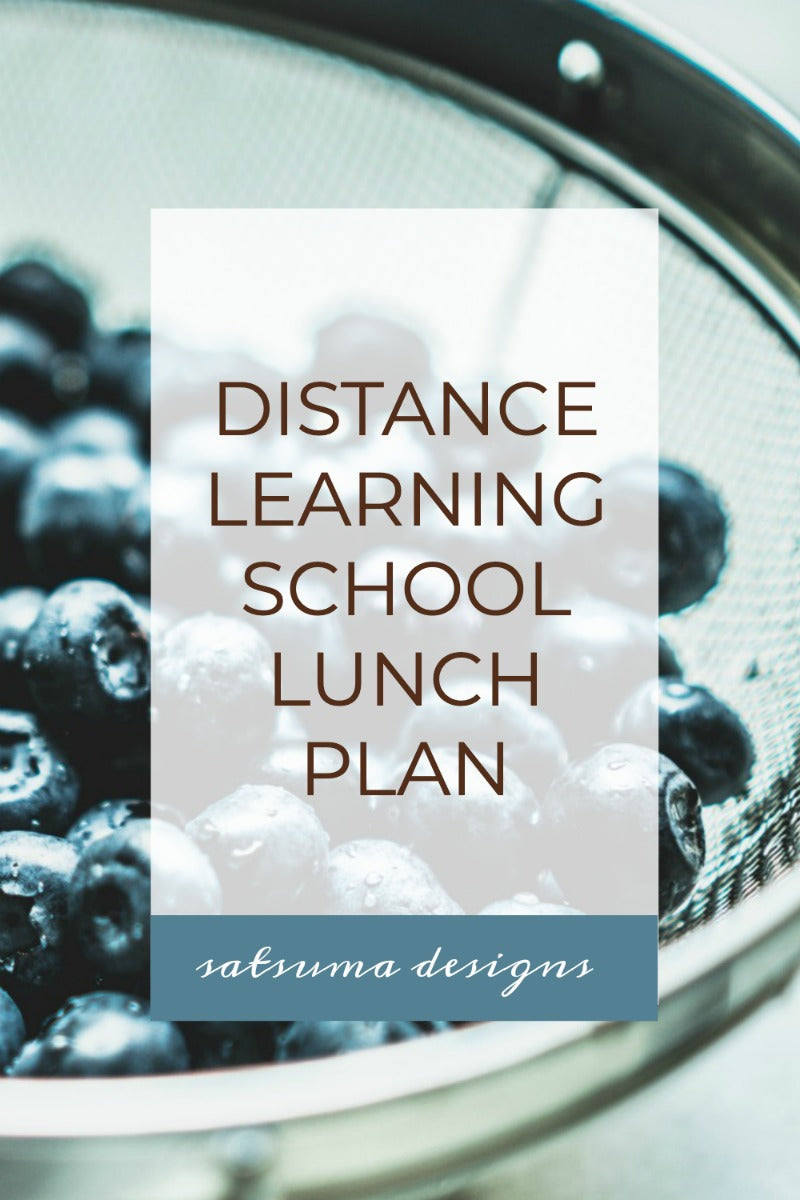 Distanced Learning School Lunch Plan