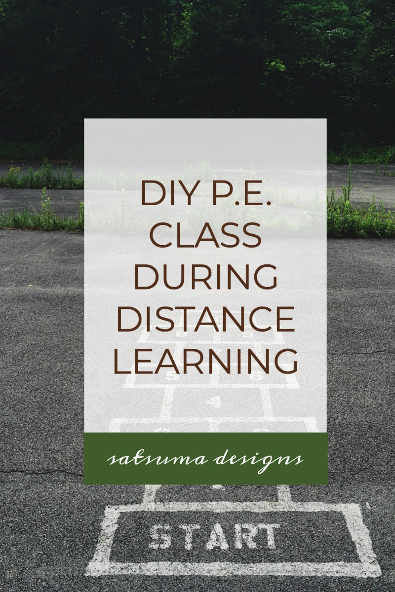 DIY At-Home Physical Education Class during Distance Learning