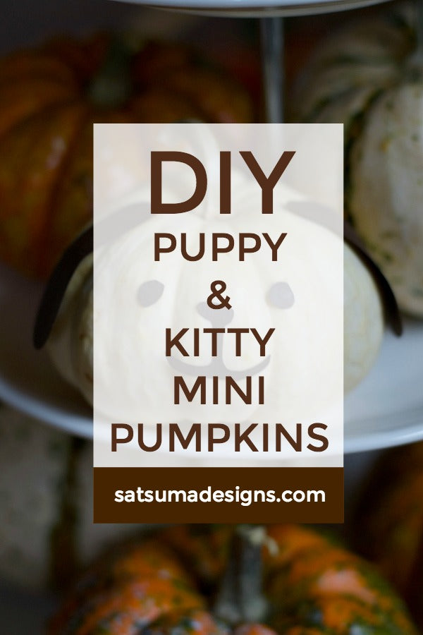 DIY Puppy and Kitty Mini Pumpkins