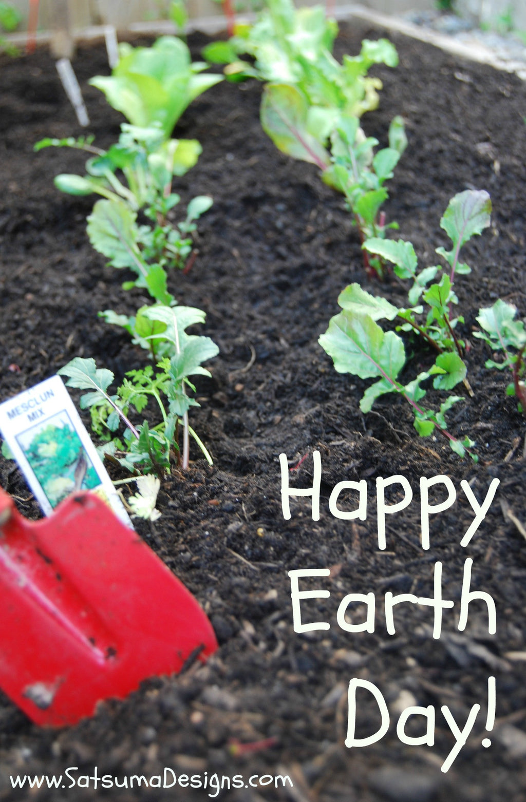 22 Ways to Celebrate Earth Day with Kids