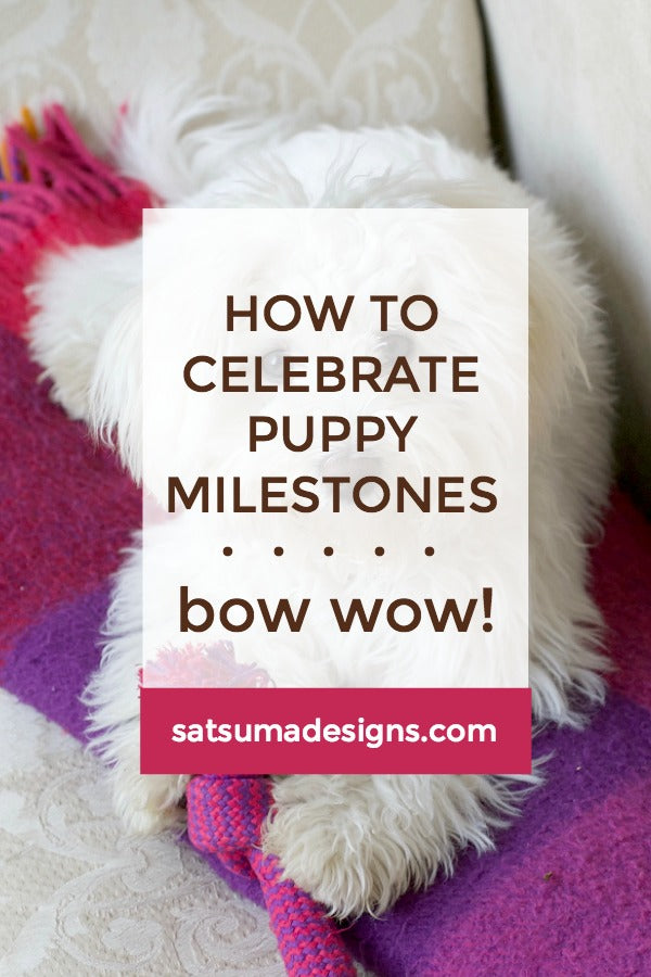 How To Celebrate Puppy Milestones