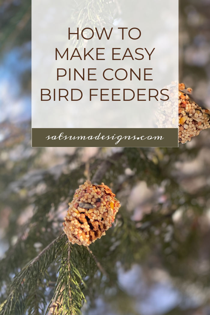 How To Make Easy Pine Cone Bird Feeders