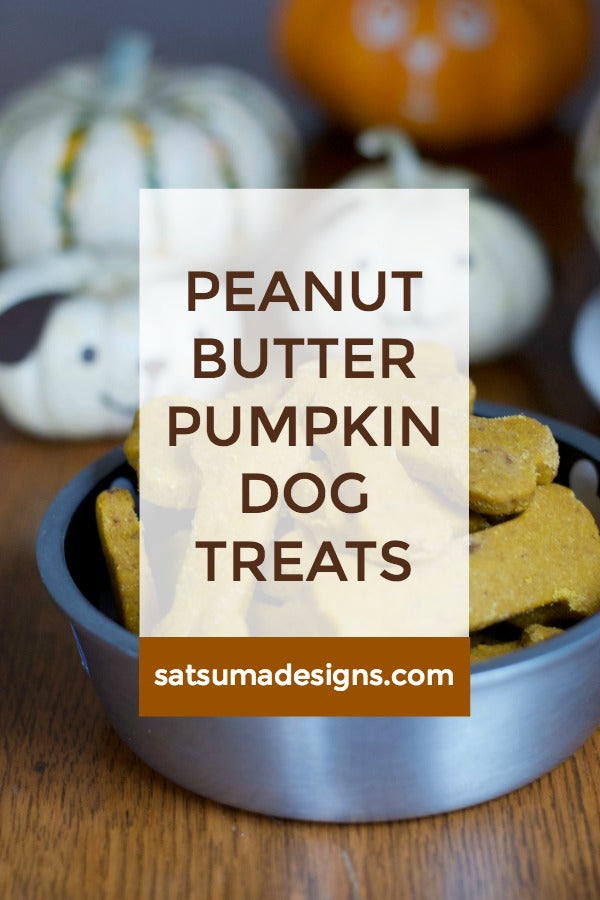 Peanut Butter Pumpkin Dog Treats