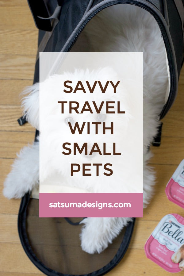 Savvy Travel with Small Pets